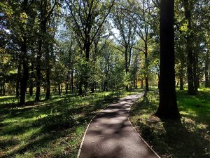 Park Selters