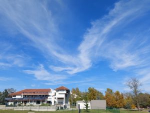 Institut Selters
