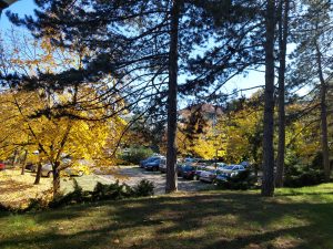 Park