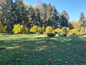 Park